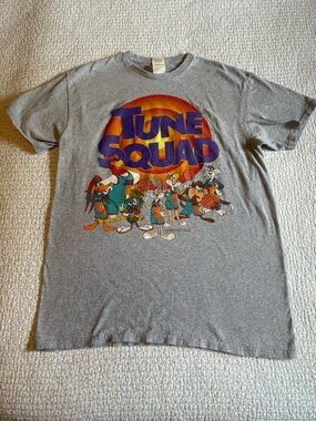 Tune Squad Shirt Mens Gray Space Jam Looney Tunes Delta Pro Weight